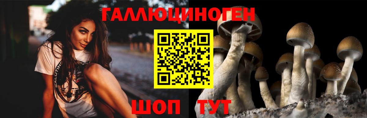 Галлюциногенные грибы MAGIC MUSHROOMS  Вход с VPN  Ишимбай 